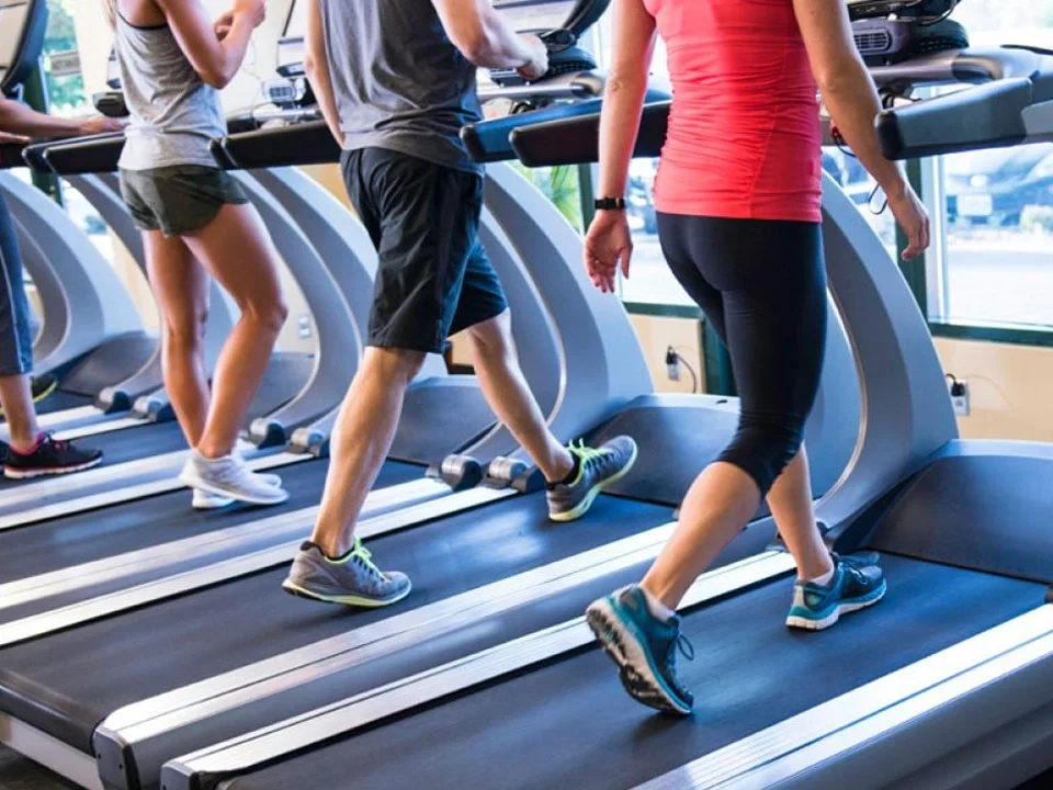 grupo de personas andando y corriendo en cinta gimnasio