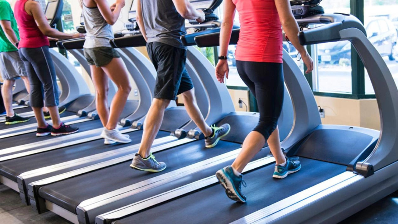 grupo de personas andando y corriendo en cinta gimnasio